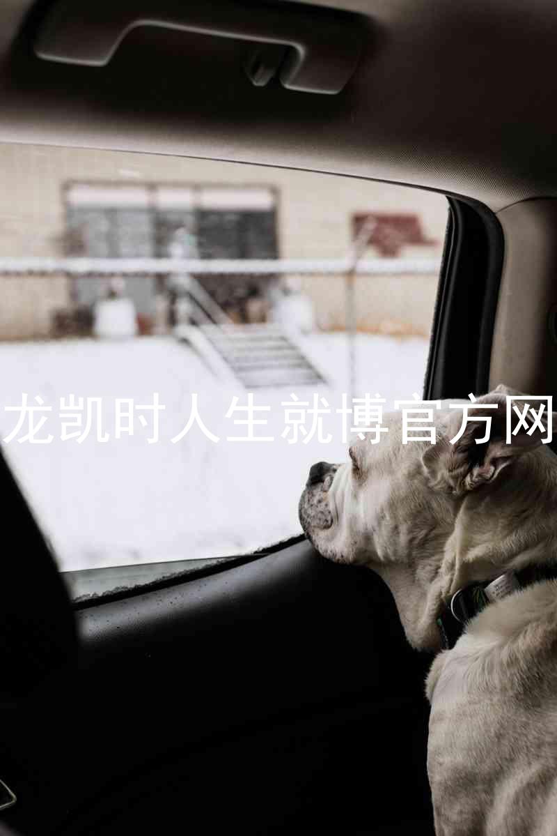 尊龙凯时人生就博官方网站