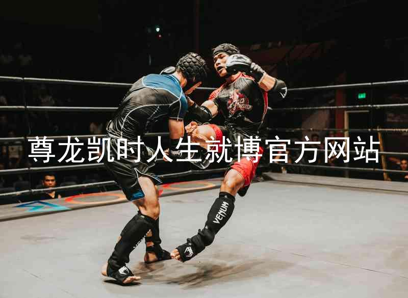 尊龙凯时人生就博官方网站